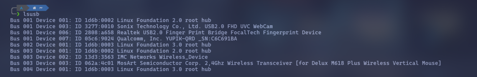 lsusb_output.png